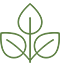 Three Leaves Icon