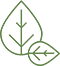 Two Leaves Icon